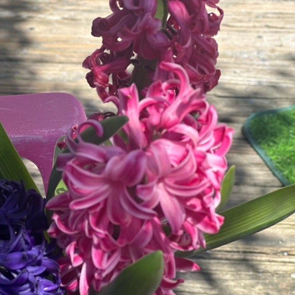 Meet your Posher, M - Picture 6 of 16